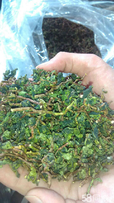 安溪鐵觀音茶葉出廠價格