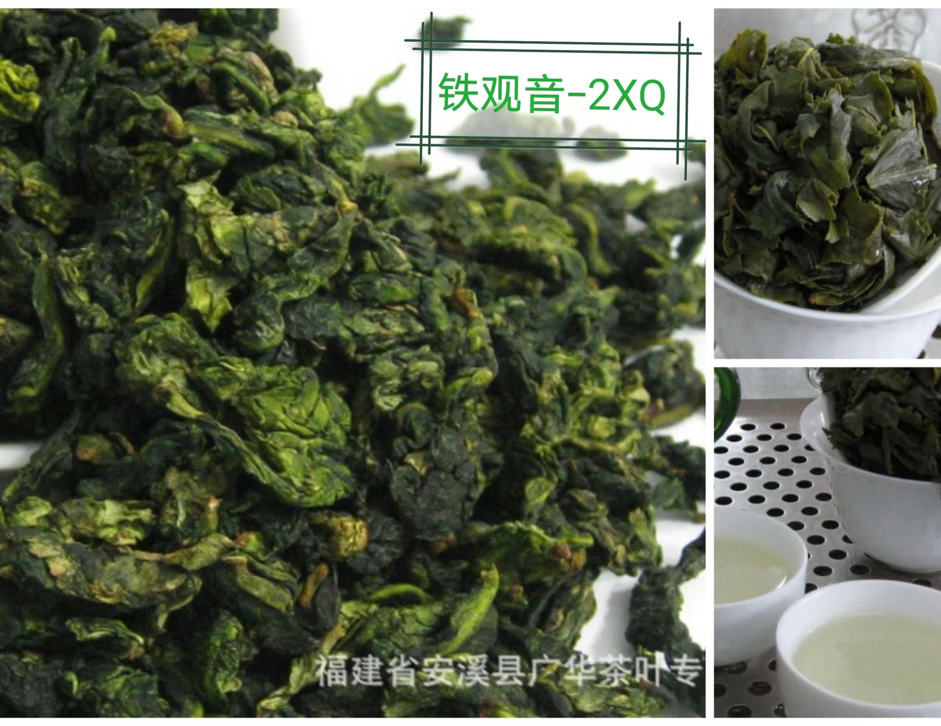 烏龍茶安溪鐵觀音茶葉濃香型蘭花香茶梗沫散裝批發(fā)奶茶店奶茶原料