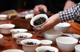地理標志產品 安溪鐵觀音 民間茶王 大獎賽