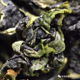 茶道 周五福利日,安溪鐵觀音送給你