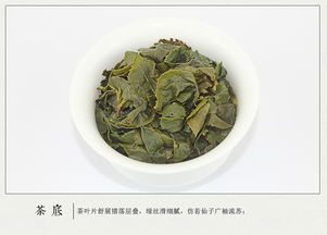 正宗安溪鐵觀音 清香型鐵觀音禮盒裝，品味茶中珍品