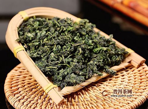 鐵觀音 春茶與秋茶的風味對決