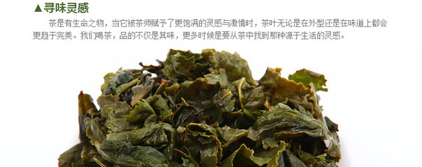 八斗茗茶 正味安溪鐵觀音王特級茶葉 福建烏龍茶的秋日饋贈