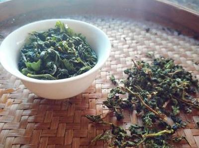 安溪鐵觀音 一杯清雅，品味千年茶韻