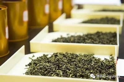 安溪鐵觀音大師賽20強出爐，巔峰對決開啟茶界新篇章