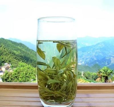 安溪鐵觀音 中國十大名茶中的閩南瑰寶